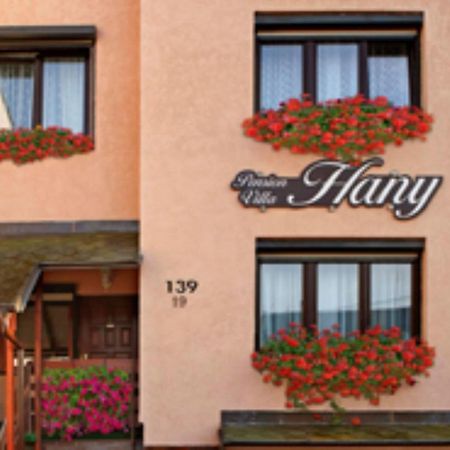 Pension Villa Hany Mariánské Lázně Kültér fotó