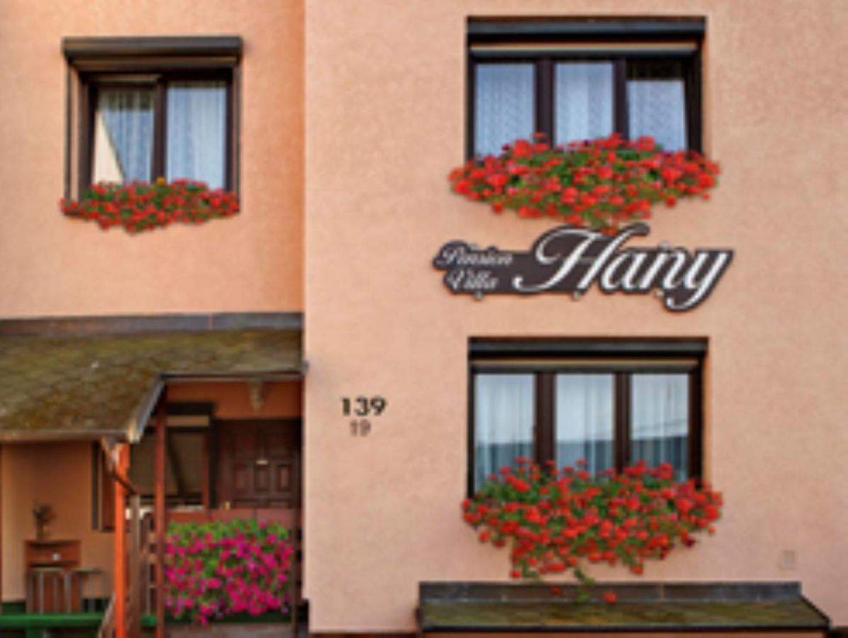 Pension Villa Hany Mariánské Lázně Kültér fotó