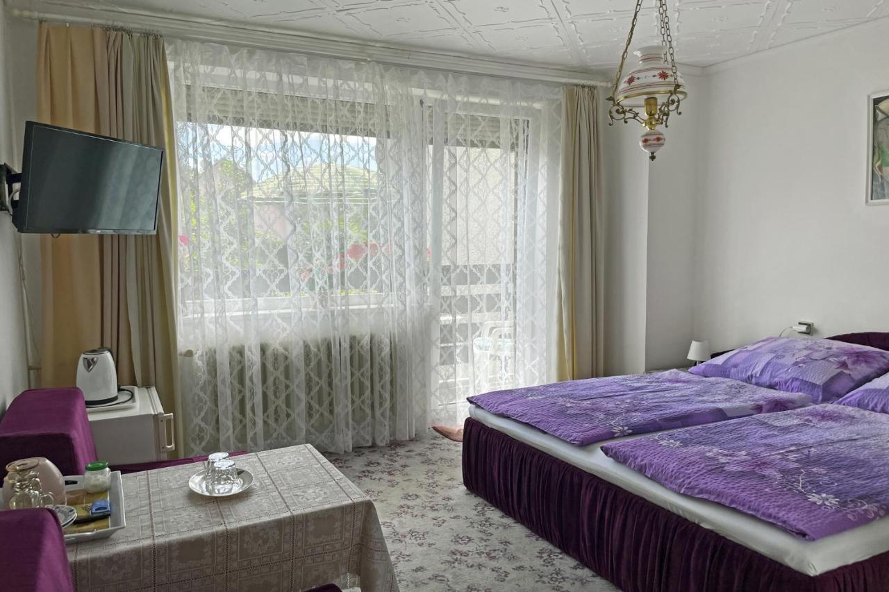 Pension Villa Hany Mariánské Lázně Kültér fotó